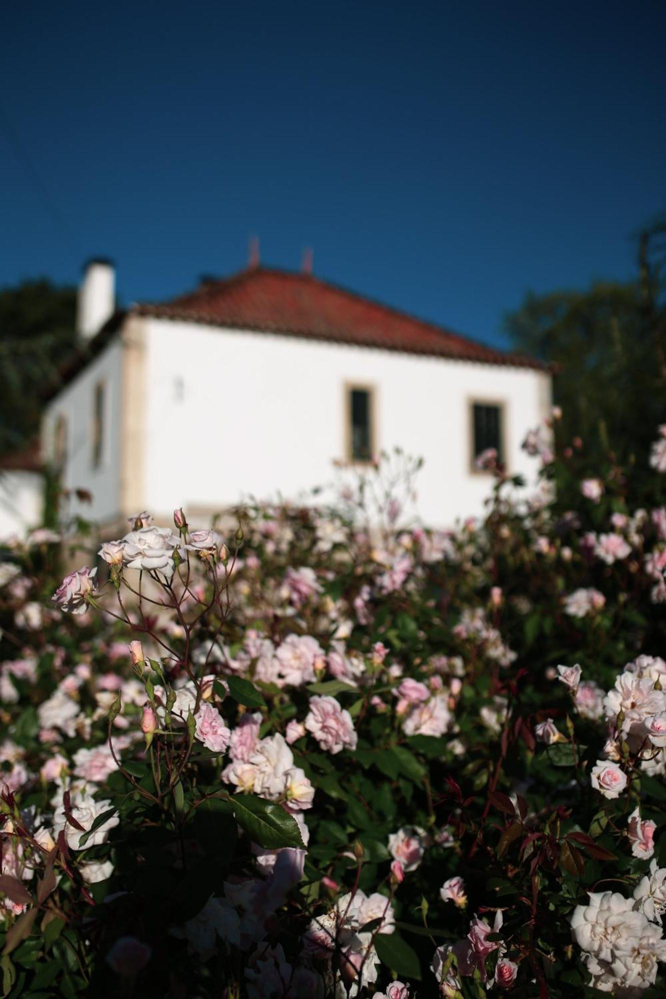 Lugar Da Pedra Alta - B&B - Private Historical Villa Melo Exteriér fotografie