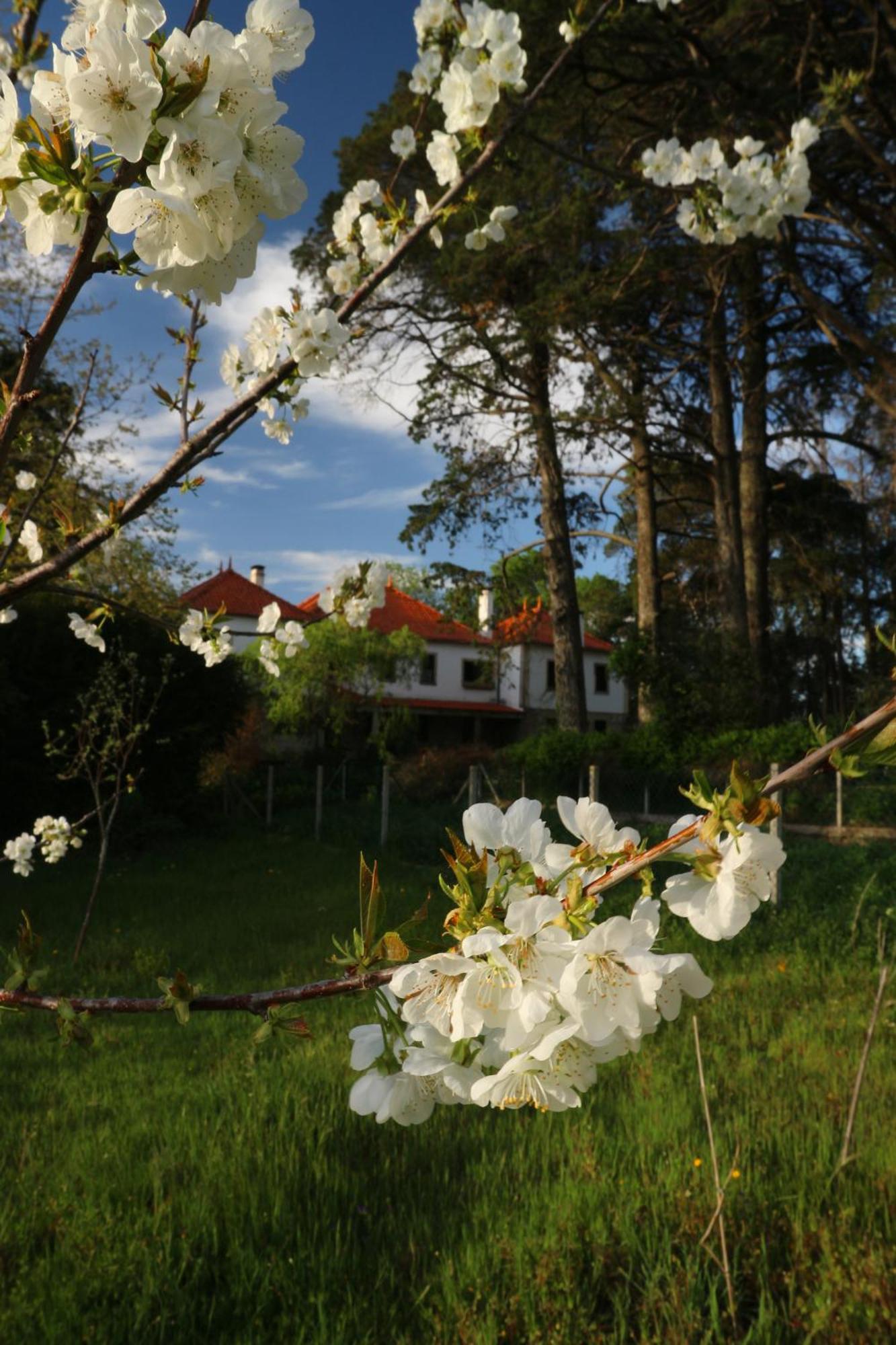 Lugar Da Pedra Alta - B&B - Private Historical Villa Melo Exteriér fotografie